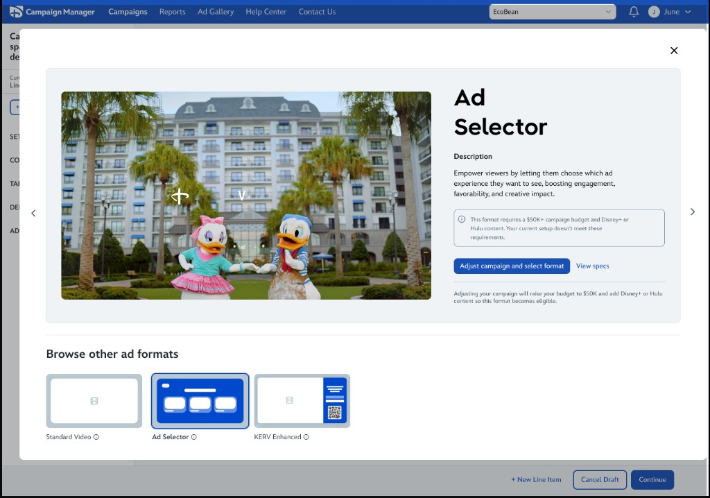Ad Selector in Disney Campaign Manager: campaign requirements, adjust settings, and format selection.
